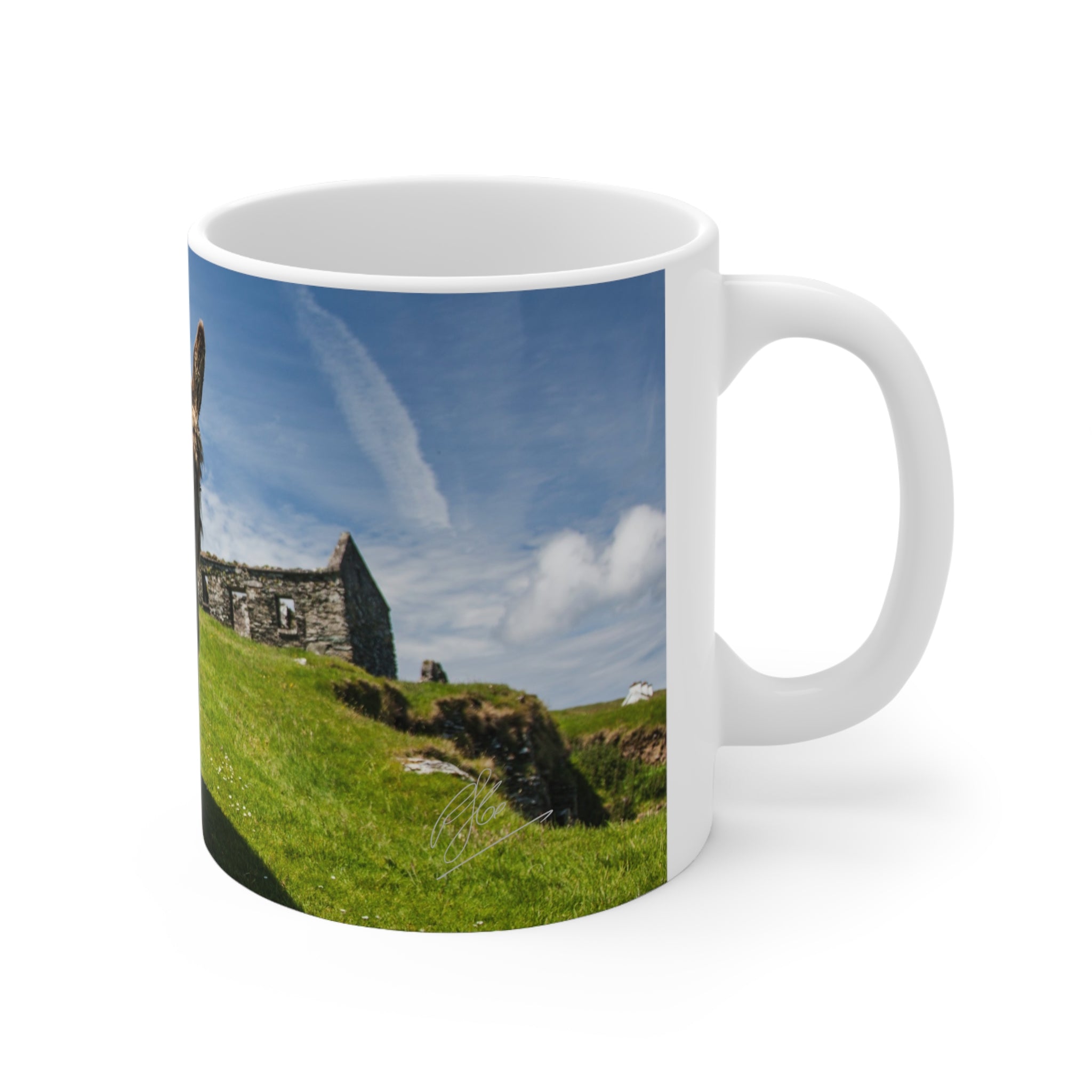 Mug - Donkeys on Great Blasket Island