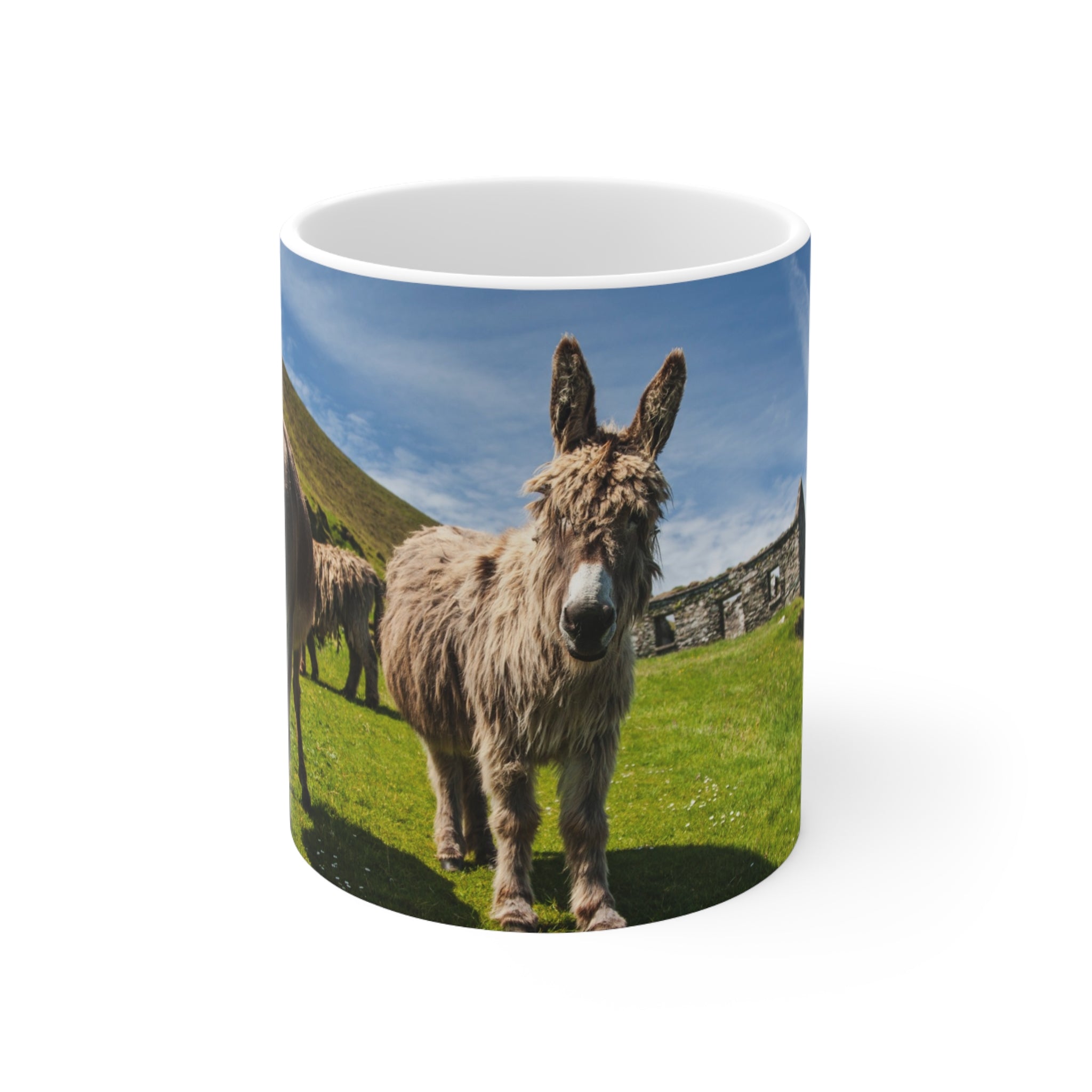 Mug - Donkeys on Great Blasket Island