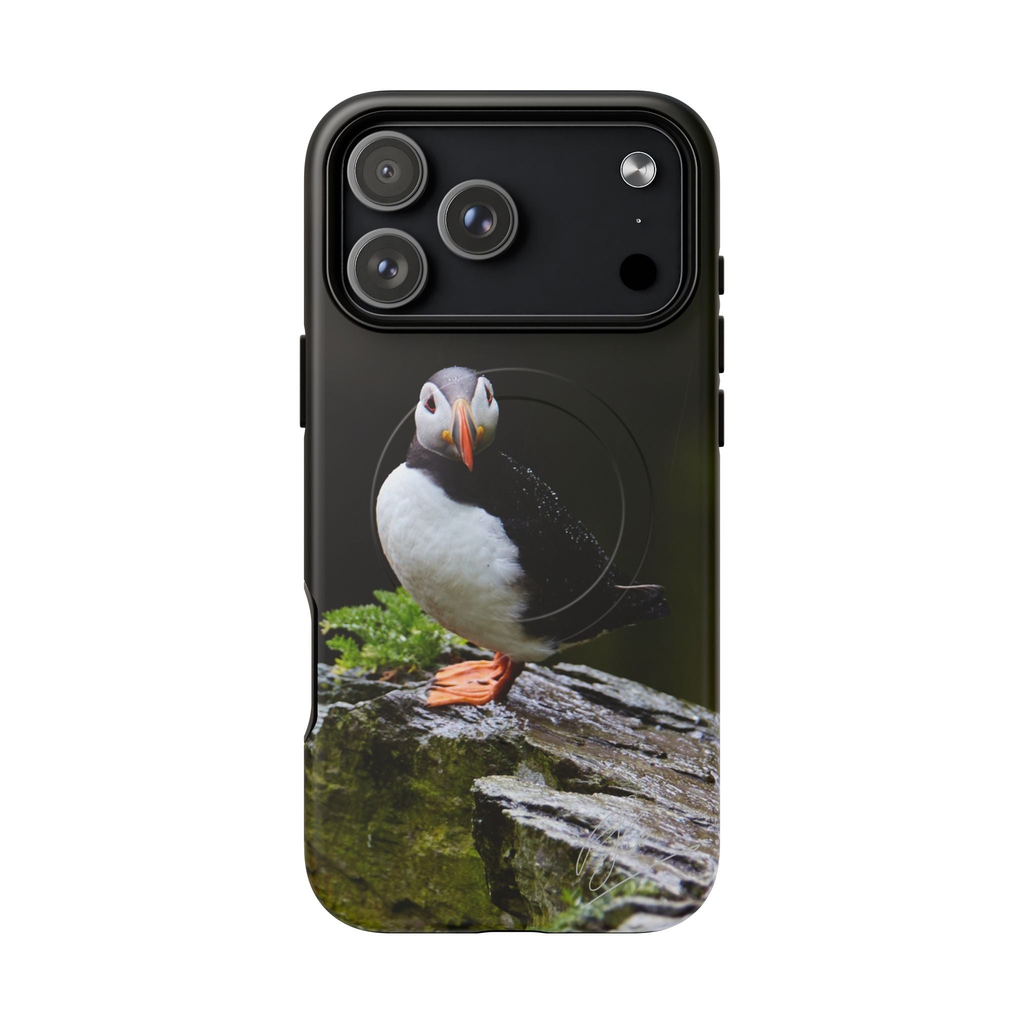 The Watchful Puffin - iPhone Magsafe Case