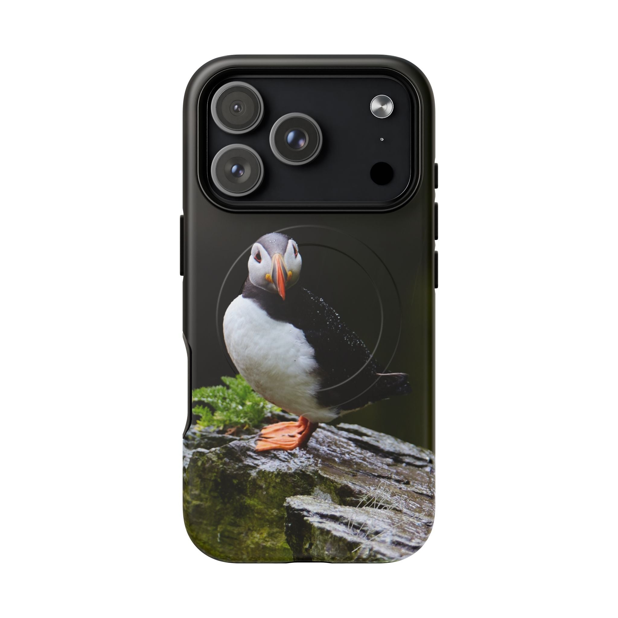 The Watchful Puffin - iPhone Magsafe Case