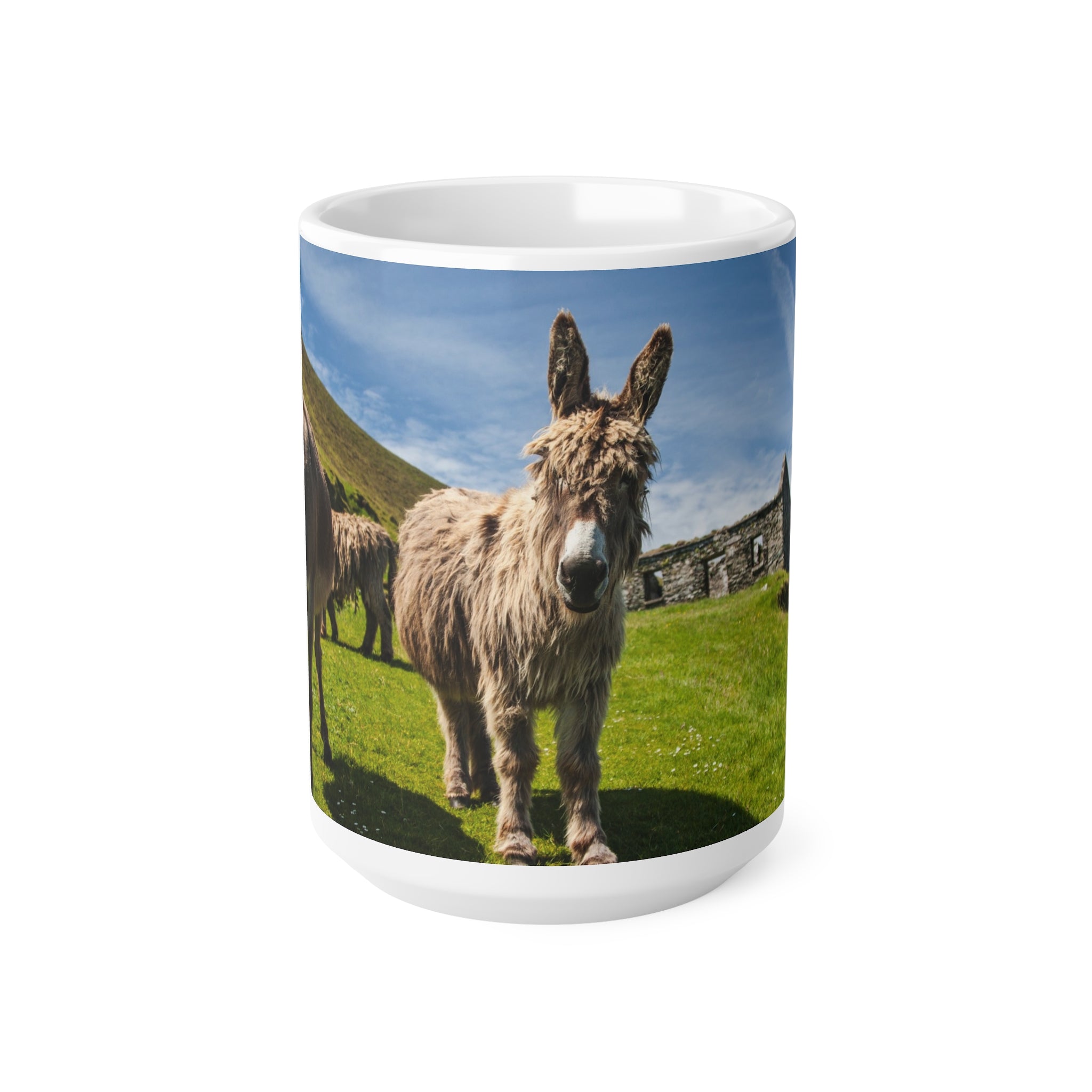 Mug - Donkeys on Great Blasket Island