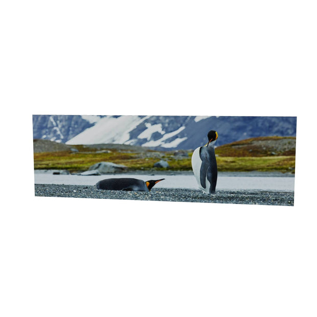 Penguin Pair, King Haakon Bay, South Georgia