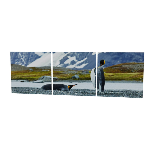 Penguin Pair, King Haakon Bay, South Georgia