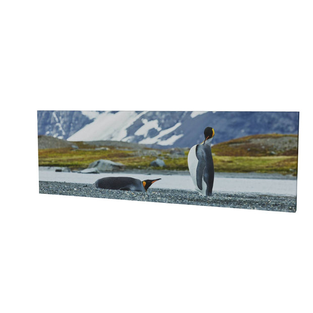 Penguin Pair, King Haakon Bay, South Georgia