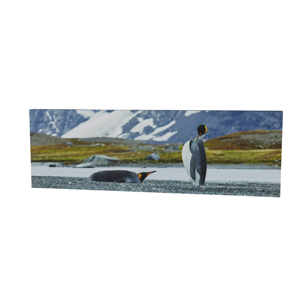 Penguin Pair, King Haakon Bay, South Georgia