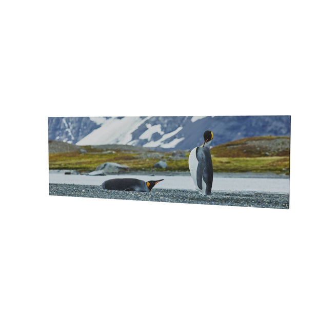 Penguin Pair, King Haakon Bay, South Georgia