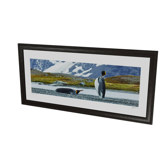 Penguin Pair, King Haakon Bay, South Georgia