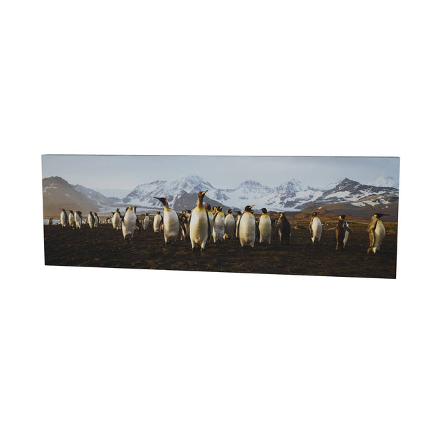 The March of the Penguins, St. Andrew's Bay, South Georgia - Fine Art Print