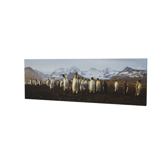 The March of the Penguins, St. Andrew's Bay, South Georgia - Fine Art Print