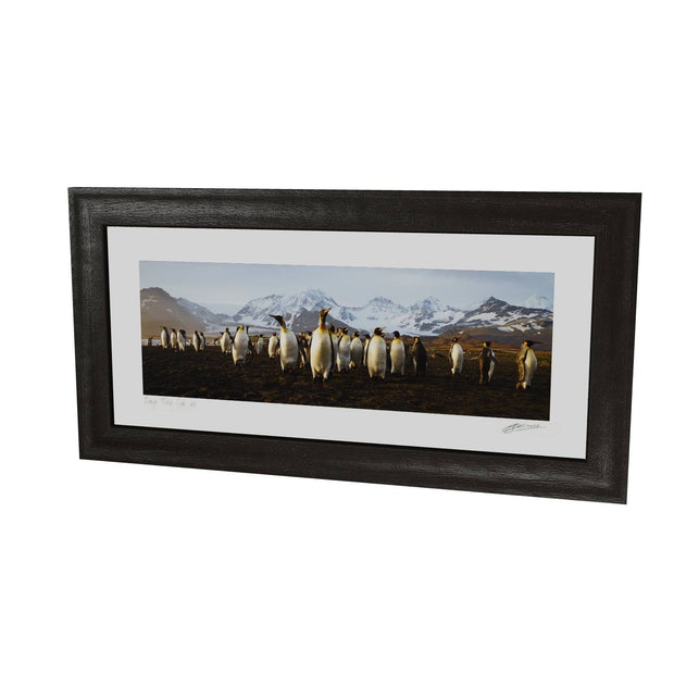The March of the Penguins, St. Andrew's Bay, South Georgia - Fine Art Print