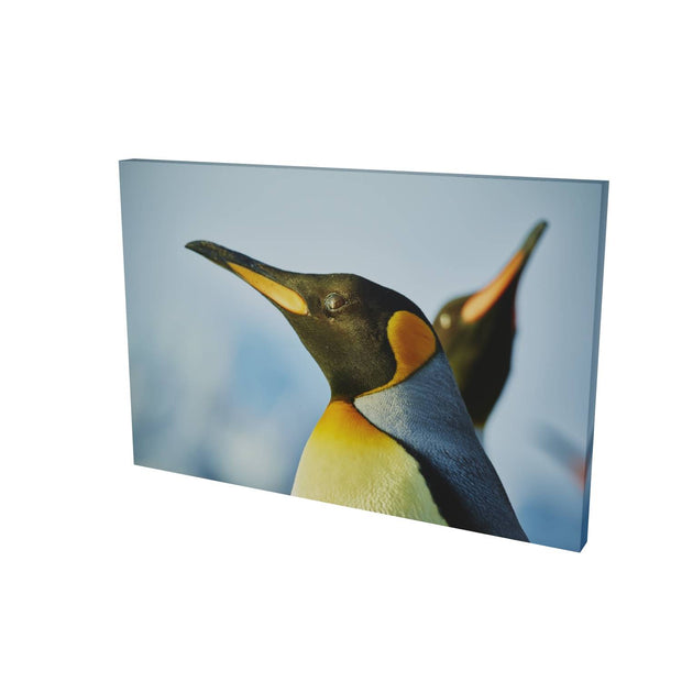 Penguin Reflections, St. Andrew's Bay, South Georgia - Fine Art Print