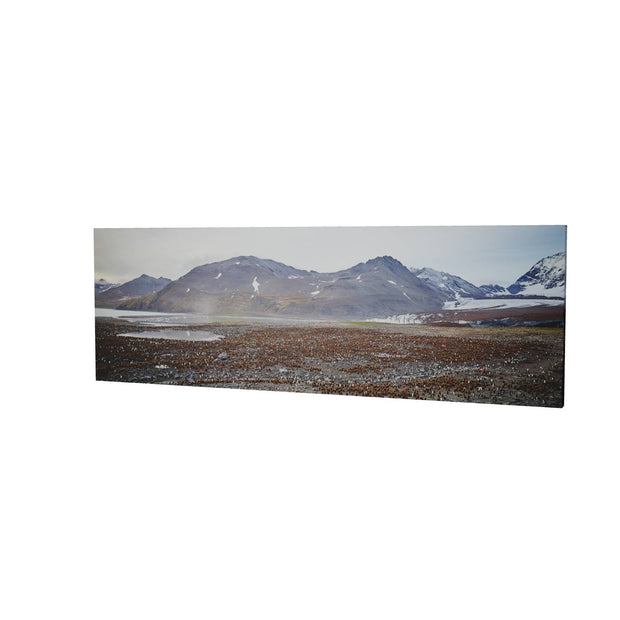 King Penguin Colony, St. Andrew's Bay, South Georgia - Fine Art Print