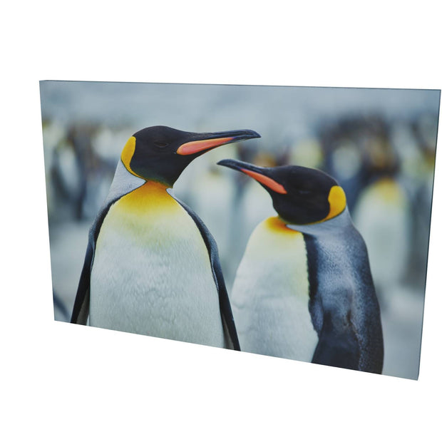 The Sly Eye, South Georgia - Fine Art Print