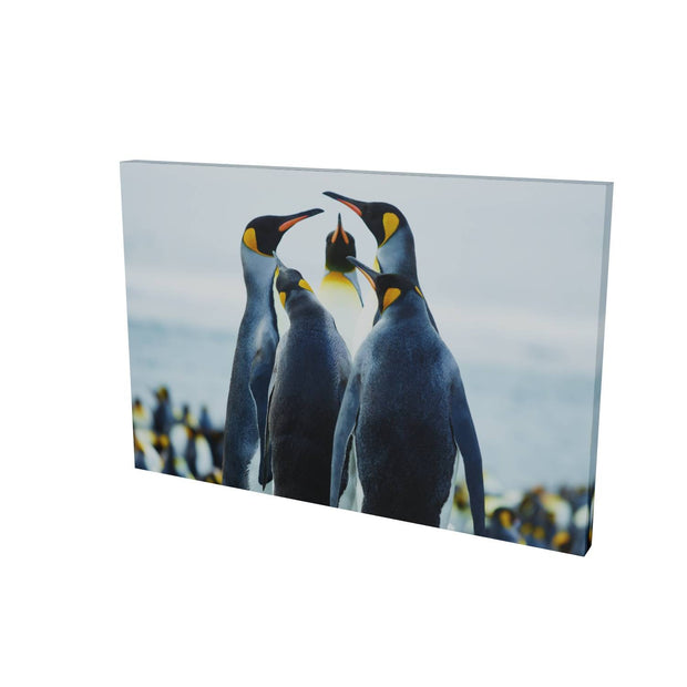 Penguin Conference, Gold Harbour, South Georgia - Fine Art Print