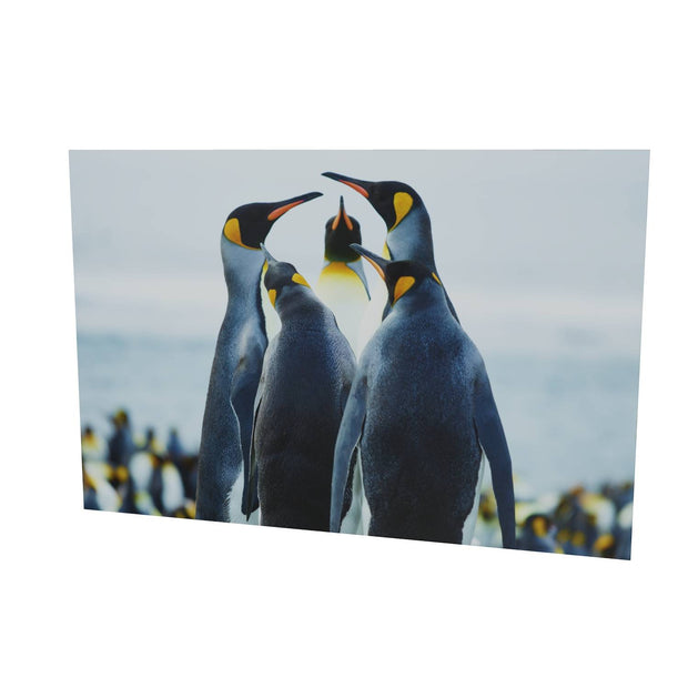 Penguin Conference, Gold Harbour, South Georgia - Fine Art Print