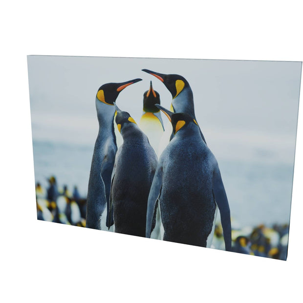 Penguin Conference, Gold Harbour, South Georgia - Fine Art Print
