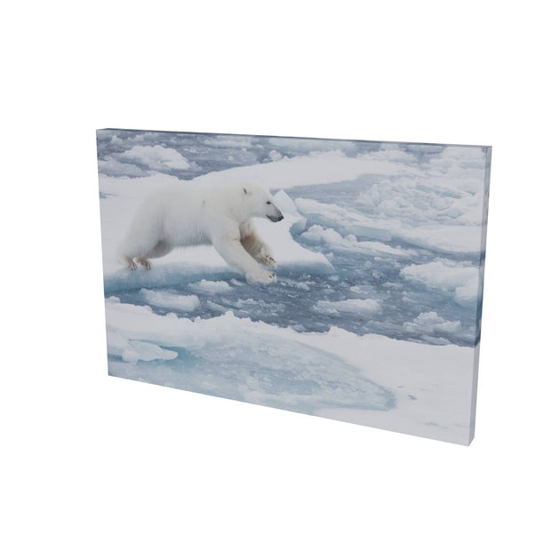 Polar Bear Leaping, Barents Sea