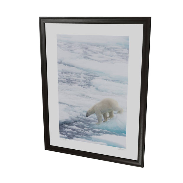 Polar Bear on Sea Ice II, Barents Sea