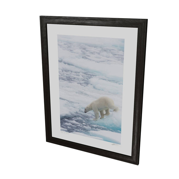 Polar Bear on Sea Ice II, Barents Sea