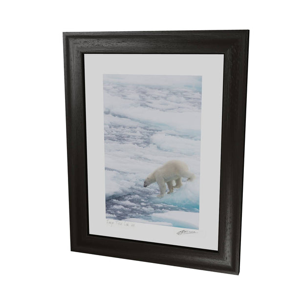 Polar Bear on Sea Ice II, Barents Sea