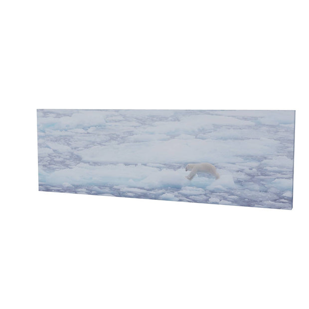 Polar Bear Crossing Sea Ice, Barents Sea
