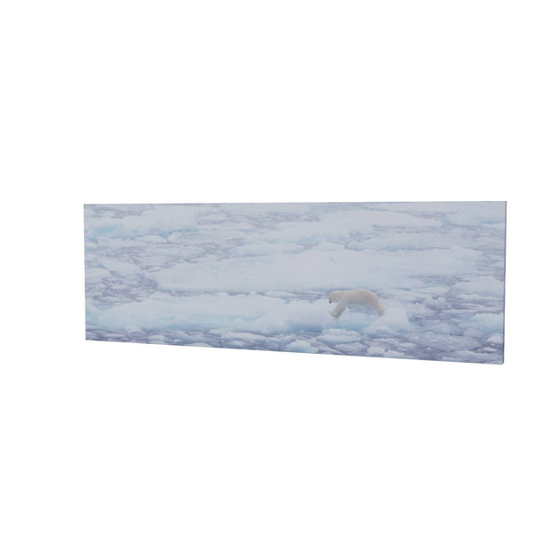 Polar Bear Crossing Sea Ice, Barents Sea