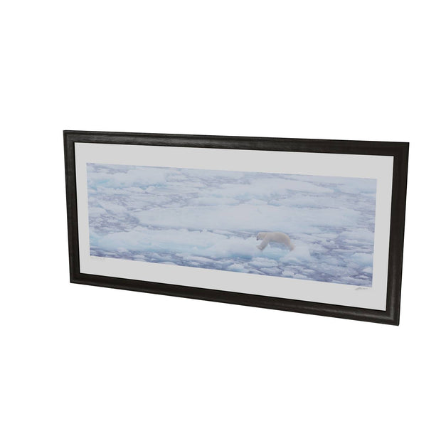 Polar Bear Crossing Sea Ice, Barents Sea