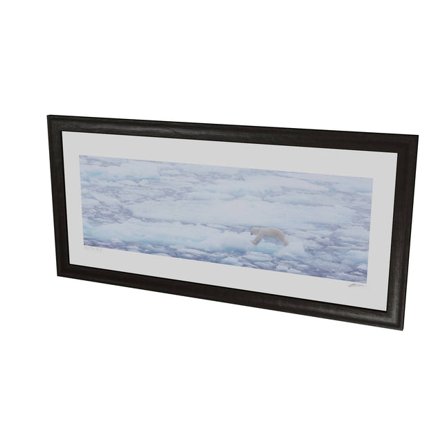 Polar Bear Crossing Sea Ice, Barents Sea
