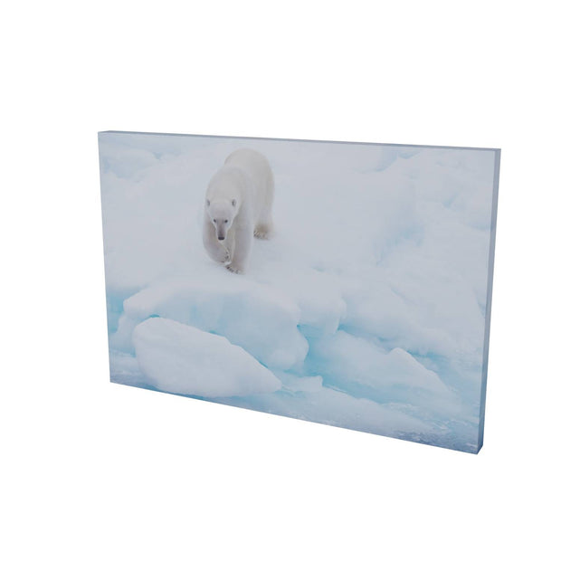 Polar Bear Approaching, Barents Sea