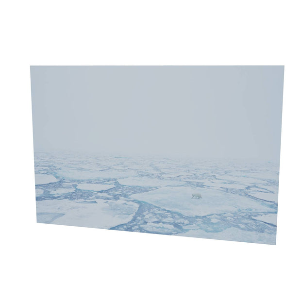 Polar Bear in the Mist, Barents Sea