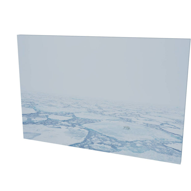 Polar Bear in the Mist, Barents Sea
