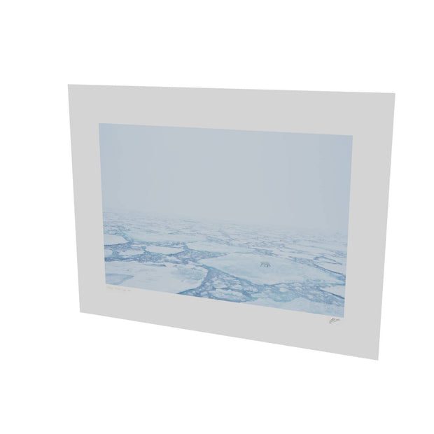 Polar Bear in the Mist, Barents Sea