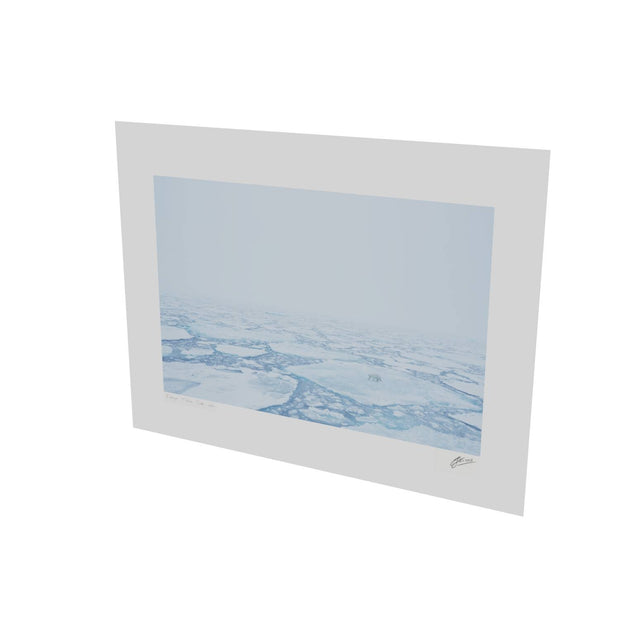 Polar Bear in the Mist, Barents Sea