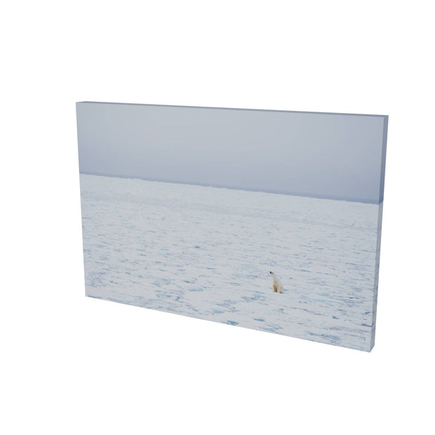 Sitting Polar Bear, Barents Sea