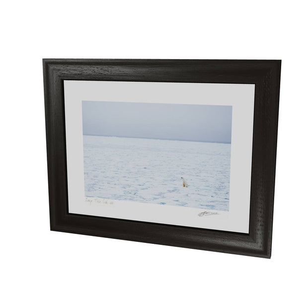 Sitting Polar Bear, Barents Sea