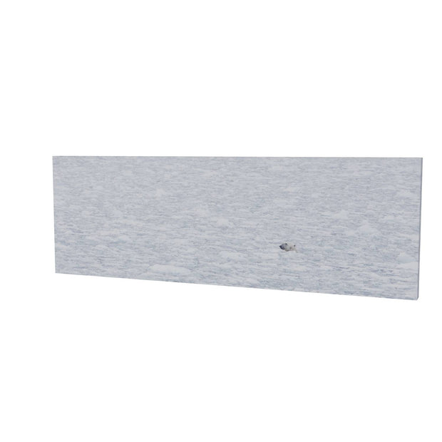 Polar Bear Plunge, Barents Sea