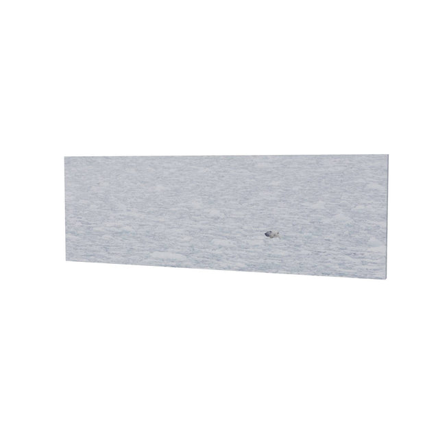 Polar Bear Plunge, Barents Sea