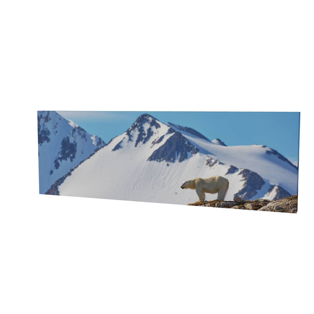 Skylined Polar Bear, Svalbard