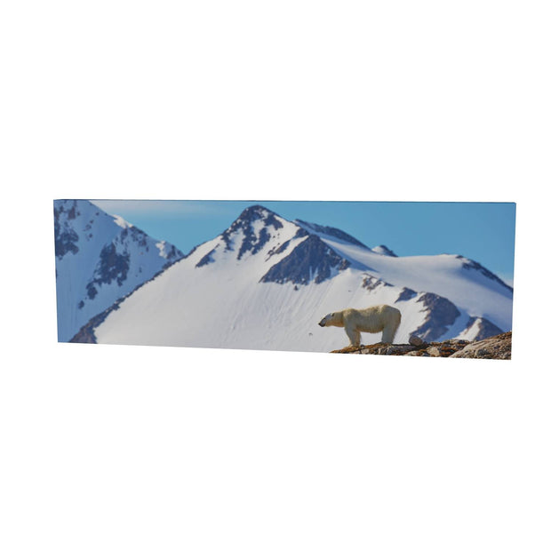Skylined Polar Bear, Svalbard