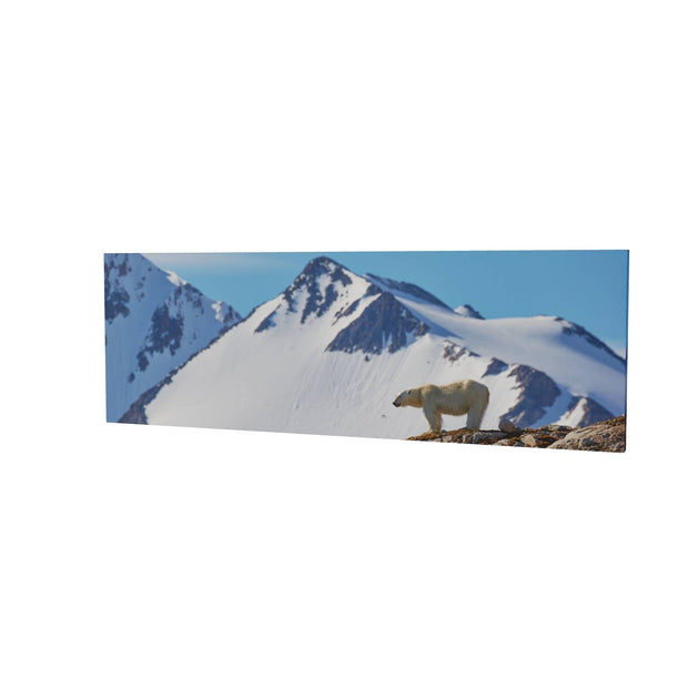 Skylined Polar Bear, Svalbard