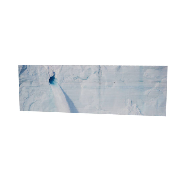 Meltwater and Bird, Svalbard