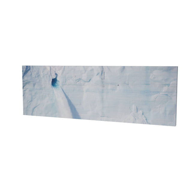 Meltwater and Bird, Svalbard