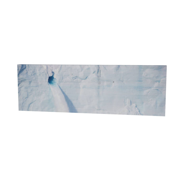 Meltwater and Bird, Svalbard