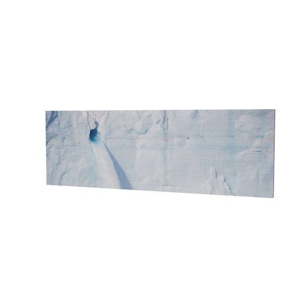 Meltwater and Bird, Svalbard