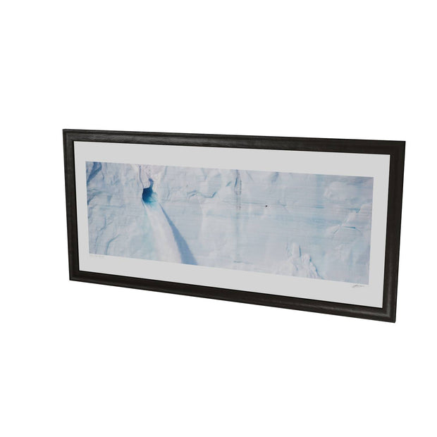 Meltwater and Bird, Svalbard
