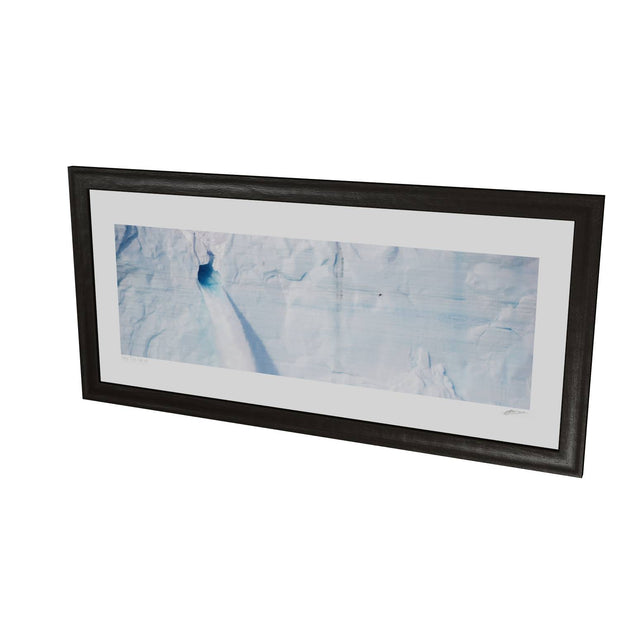 Meltwater and Bird, Svalbard
