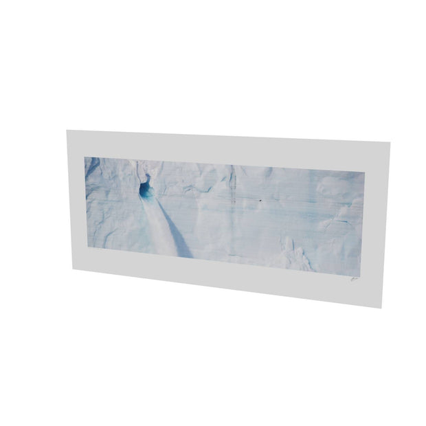 Meltwater and Bird, Svalbard
