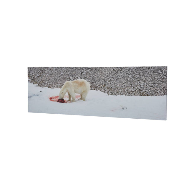 Dinner Time, Svalbard