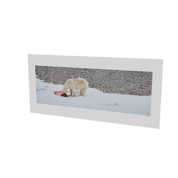 Dinner Time, Svalbard