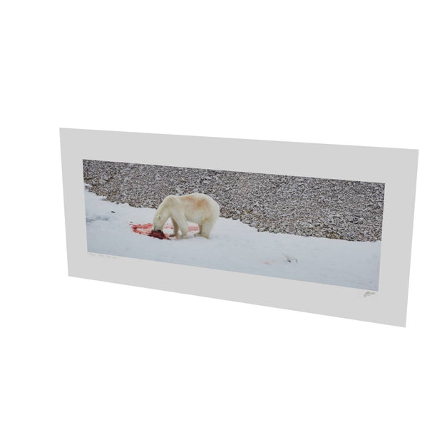Dinner Time, Svalbard